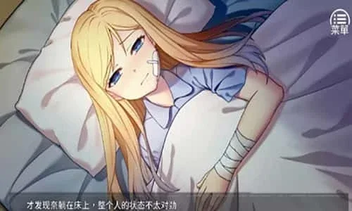 奈的教育日记 中文界面 展示图